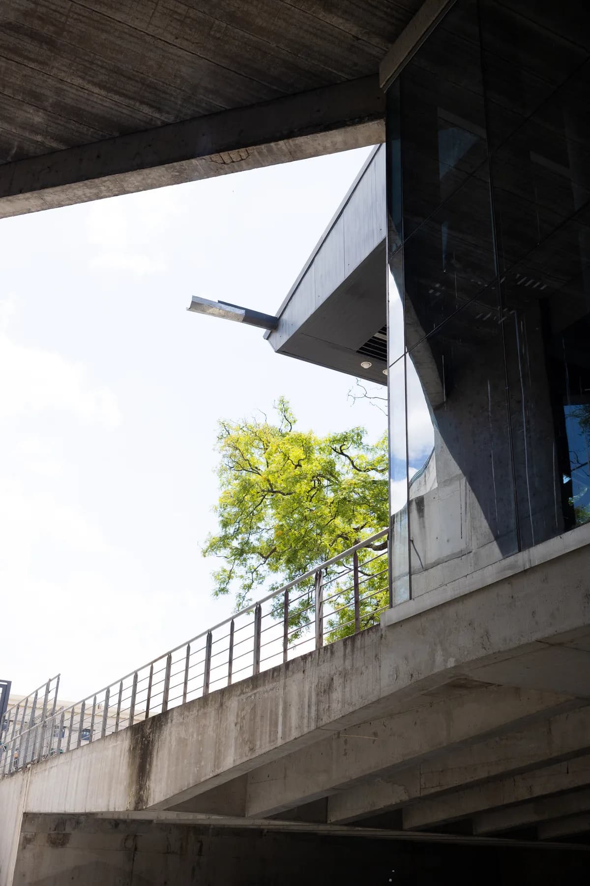 Sky and tree behind angles and edges of a neo-brutalist building