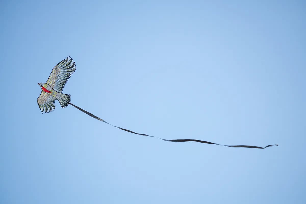 A bird kite flying against the blue skies