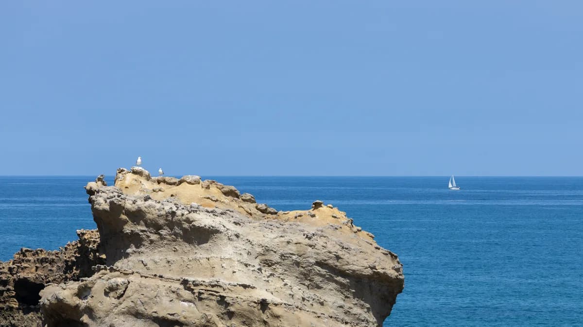 Scenes of Biarritz: gulls on cliffs over the horizon and a sailboat in the distance