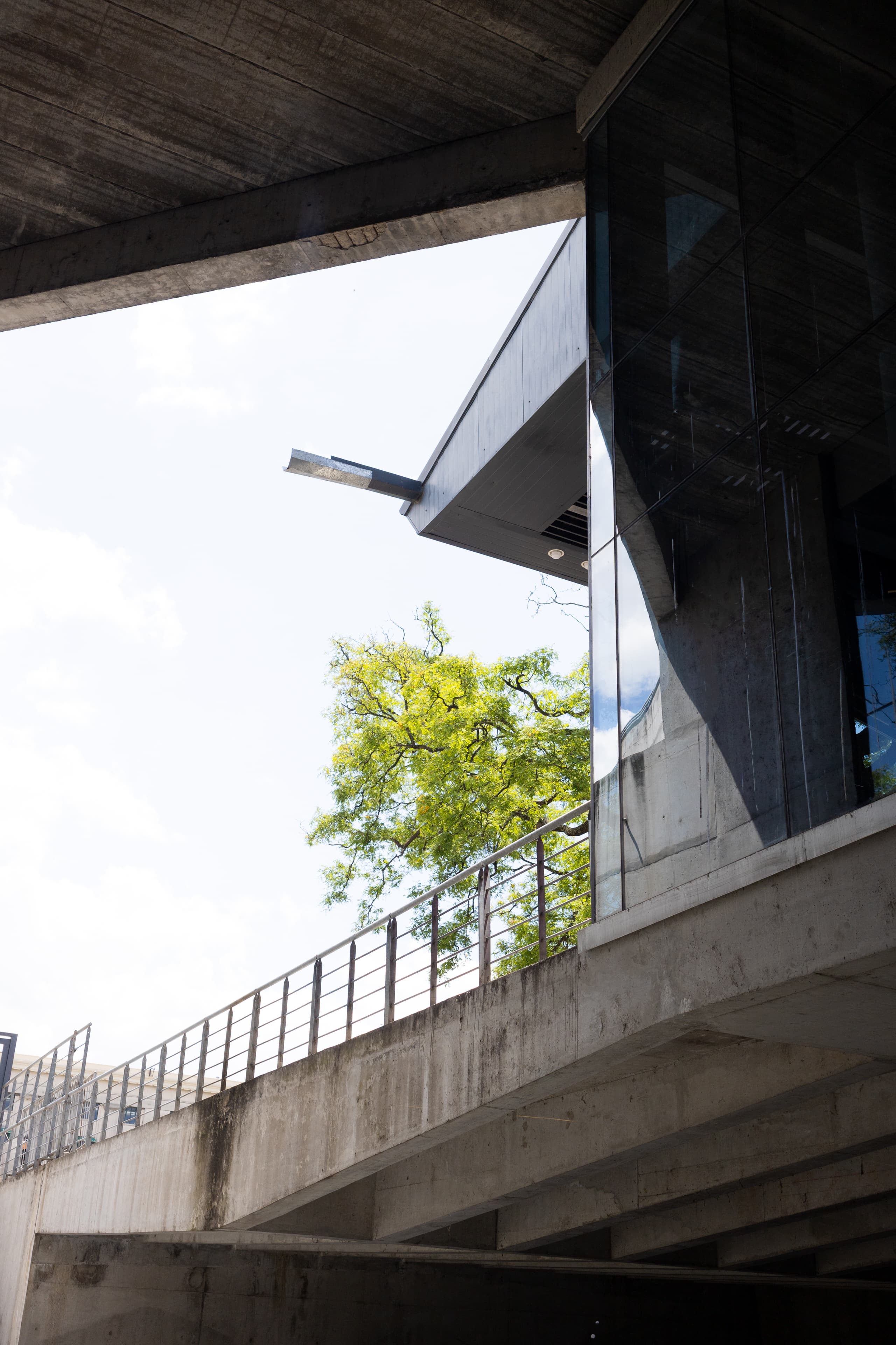 Sky and tree behind angles and edges of a neo-brutalist building