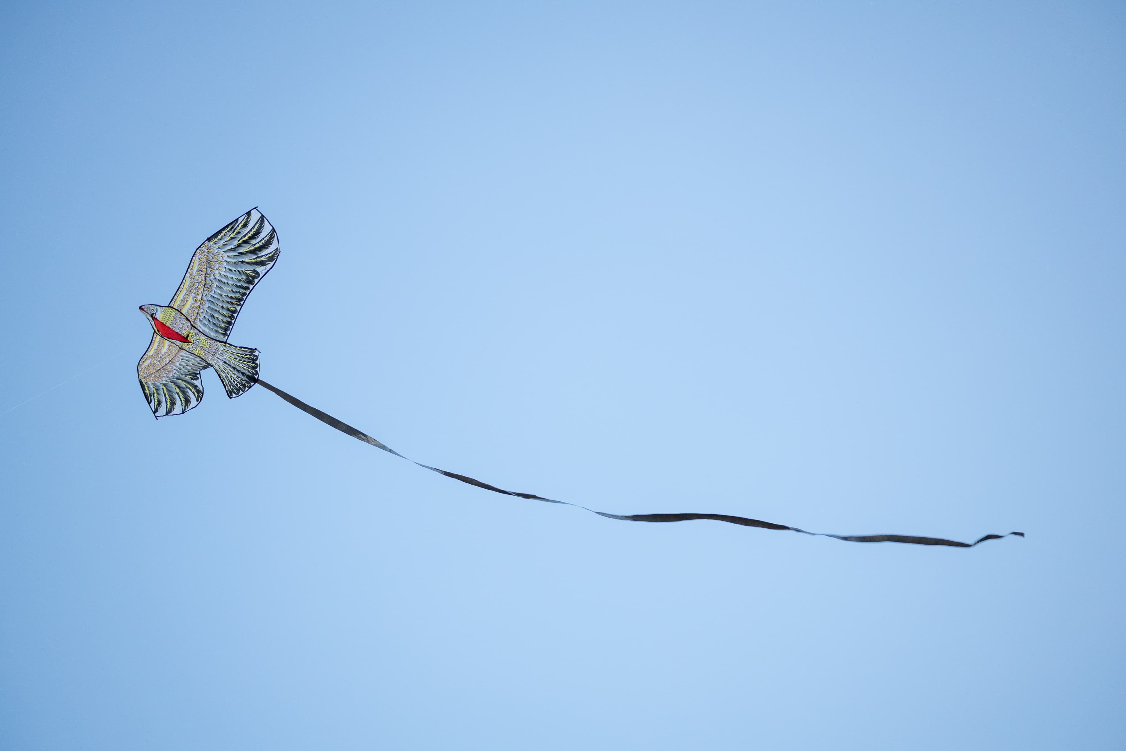 A bird kite flying against the blue skies
